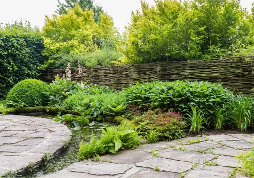 AdobeStock_209475218