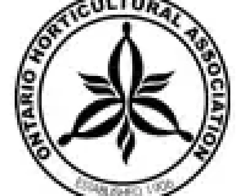 Northland-Paving-Toronto-Ontario-Horticultural-Association-100x90K